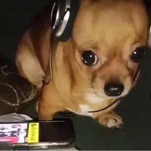 Meet your Posher, Jared